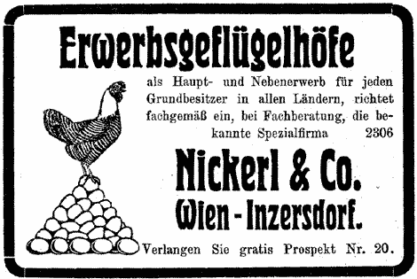 Henne steht auf Eierberg. Illustrierte Werbung für "Erwerbsgeflügelhöfe".