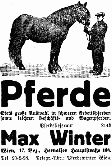 Illustrierte Werbung: Mann mit kräftigem Arbeitspferd. "Stets große Auswahl in schweren Arbeitspferden sowie leichten Geschäfts- und Wagenpferden."